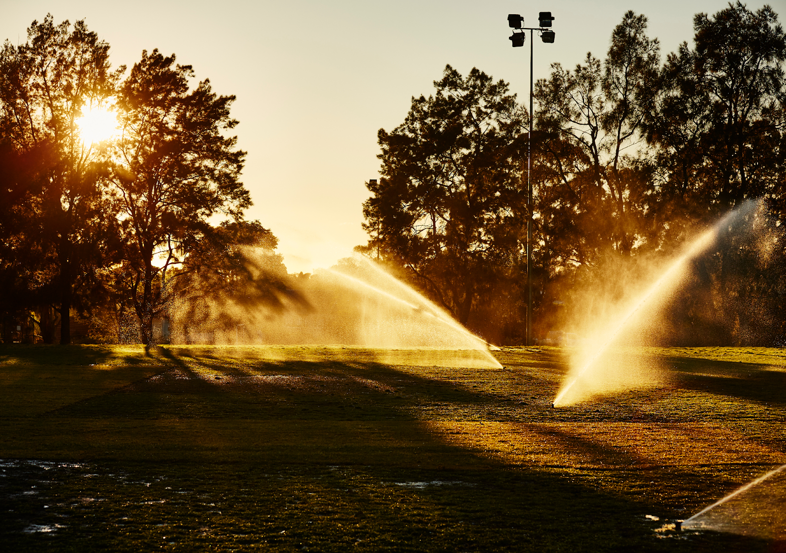 Image of outdoor park area with automatic sprinkling systems on.