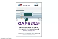 AM_ANSI_GAPS_Report.png