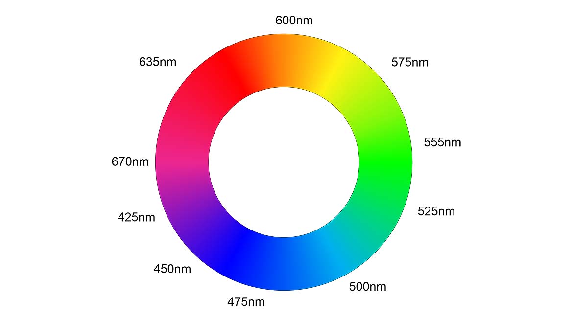 Figure 1 -- The Color Wheel