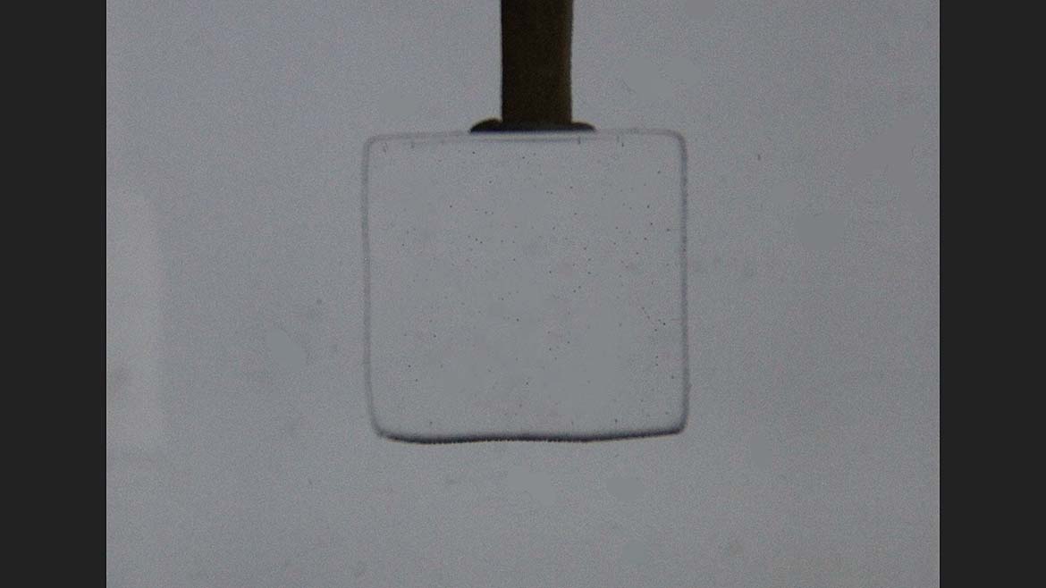 Figure 6 -- Clear Part in Water Bath, Semi-Collimated Back Light
