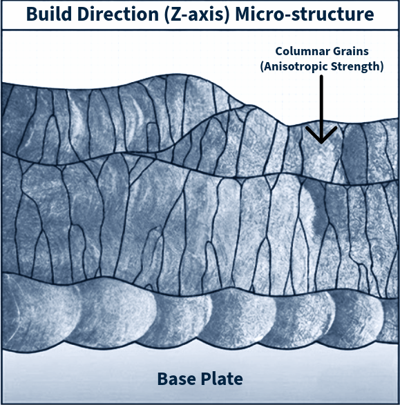 Illustration of an additive manufacturing microstructure showing columnar grain growth along the build direction (Z-axis), highlighting anisotropic material properties above the base plate.