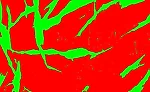 Phase-Analysis