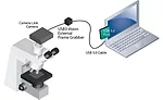 Video Interfaces and the Cabling Connection