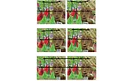 Figure 3. (Top) Raw Images. (Middle) Distortion Removed. (Bottom) Images are Rectified. Source: IDS