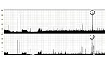 A chart recording showing the indications from the reference standard (left) and a typical defect (circled, right).