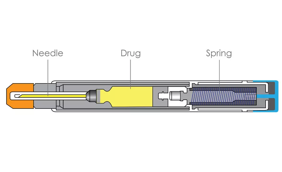 Figure 3: A model of a drug delivery system is shown here.