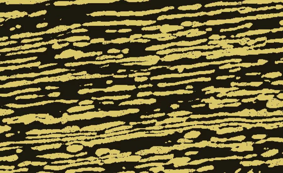 Figure 2b EBSD analysis of a duplex steel
