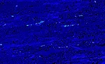 Figure 2 EBSD analysis of a duplex steel