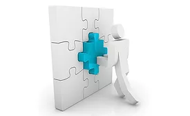 The Effective System Integrator