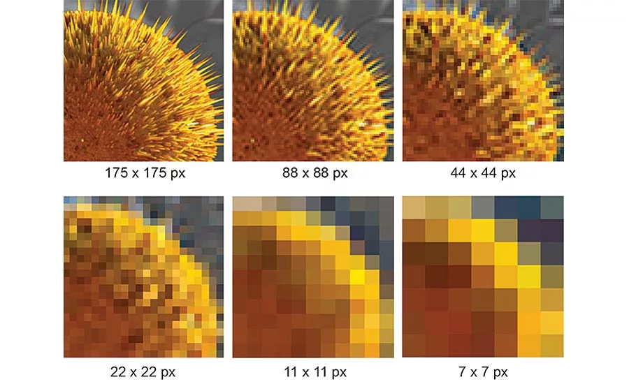 How to Choose a Machine Vision Camera