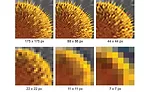 How to Choose a Machine Vision Camera
