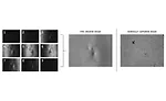 Computational Imaging: Get the Image You Want