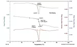 Analysis of a Novel Green Polymer