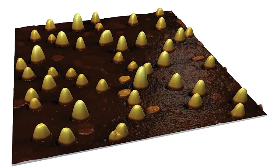 Digital Surf, Image Metrology MountainsSPIP 8 Software