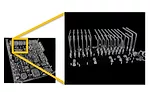 Volume rendering image
