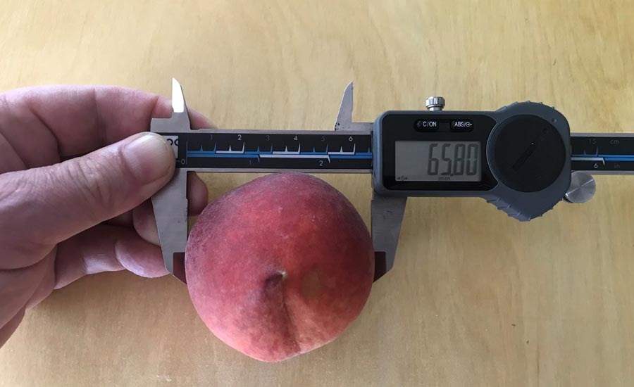 calipers measuring a peach