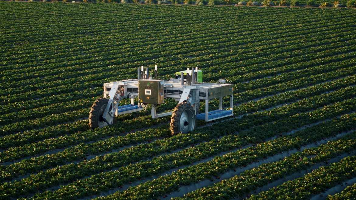 QTY 1221 Vision & Sensors Trends Agrobot Strawberry Picking