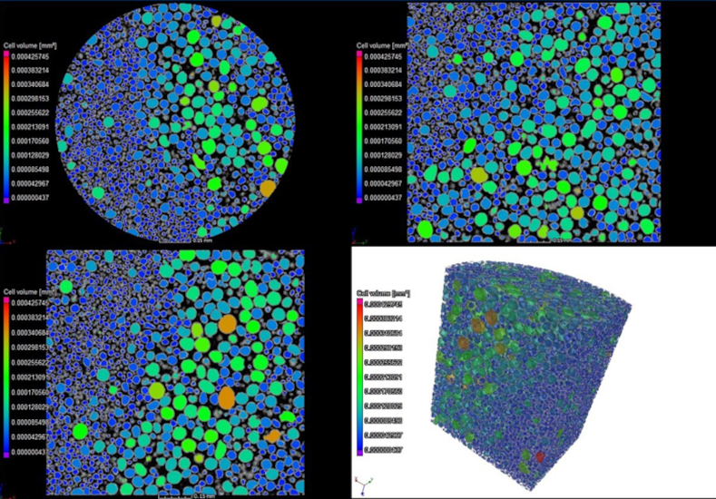 QTY 1021 NDT Computed Tomography CT for Additive. Figure 2: NanoCT Powder Characterization of a Titanium aluminide SLM capsule with nominal grain size 40-90 μm: automated colored particle size segmentation.