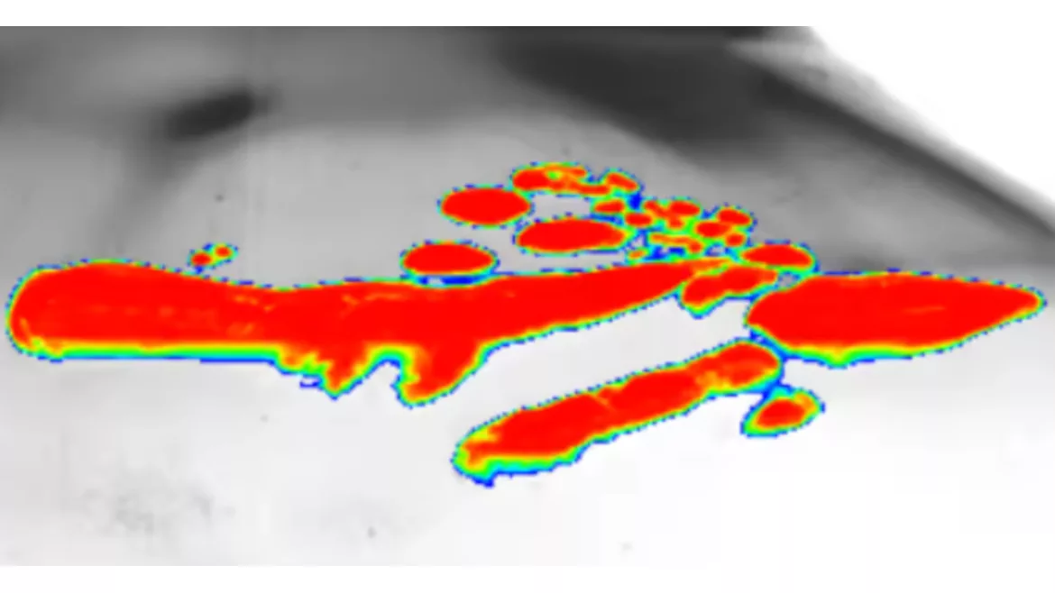 VS 0522 V&S Trends Deep Learning feature photo