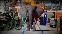 QM 0223 Measurement Elephant In Room