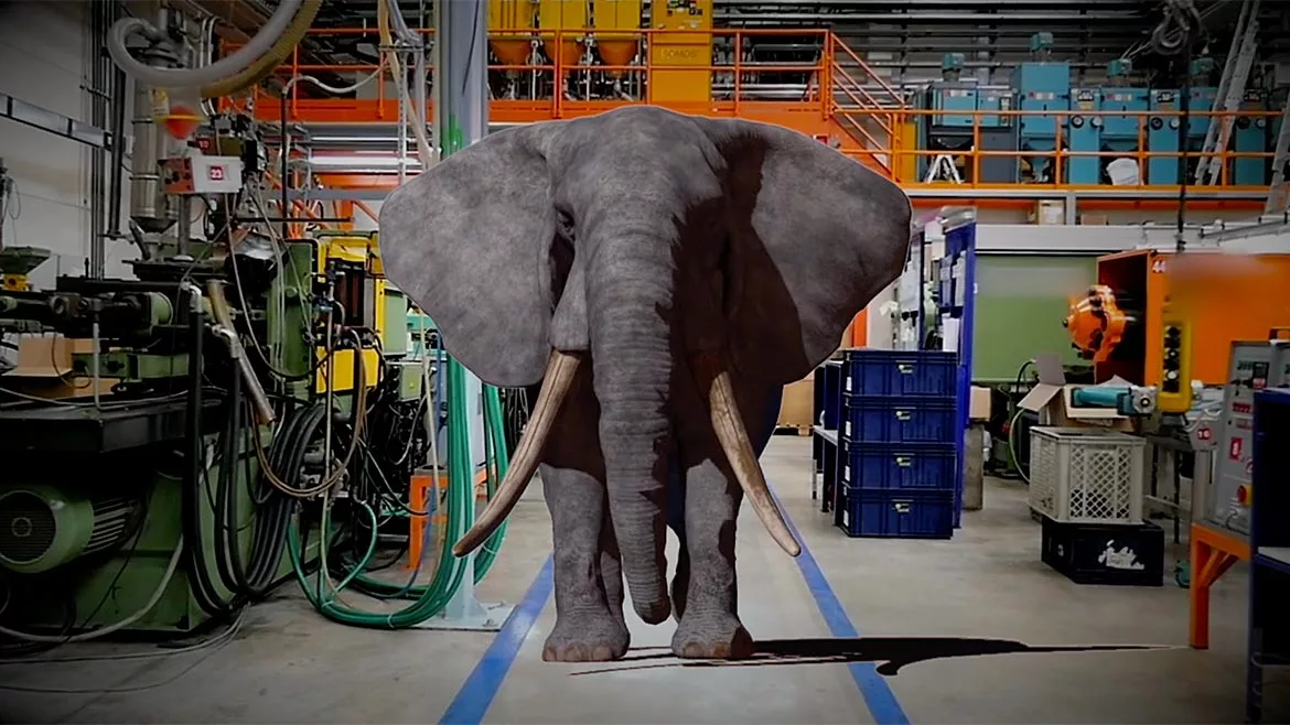 QM 0223 Measurement Elephant In Room
