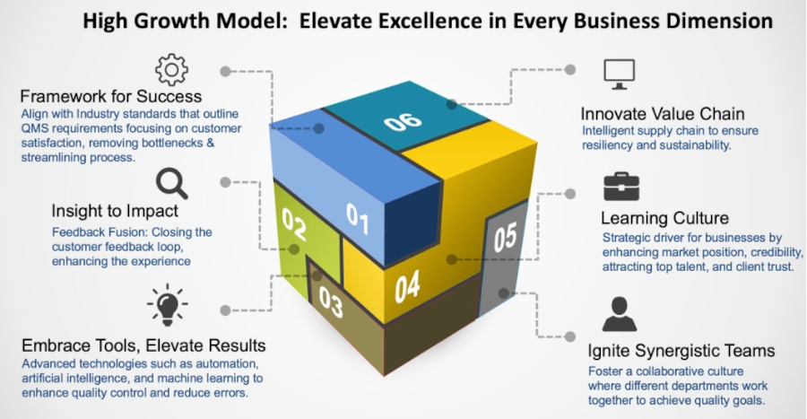 High Growth Model: Elevate Excellence in Every Business Dimension graphic as a numbered puzzle cube.
