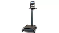 Rice Lake Weighing RL1200IS Rice Lake Weighing RL1200IS Series Intrinsically Safe Electromechanical Portable Beam Scale with 882IS Plus indicator