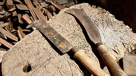 From the Editor column feature image of billhook