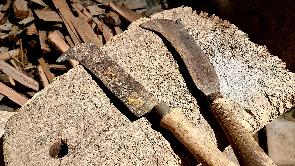 From the Editor column feature image of billhook