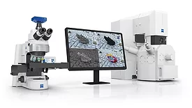 Software & Analysis Z TCA particle analysis