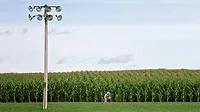 From the Editor column: Field of Dreams