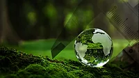 Crystal Earth On Soil In Forest With Ferns And Sunlight. From GettyImages