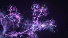 Machine Learning feature image of growing connected lines with purple glow