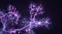 Machine Learning feature image of growing connected lines with purple glow Machine Learning feature image of growing connected lines with purple glow