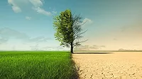 April 2024 John Vandenbemden column feature image of climage change from green growth to barren land. April 2024 John Vandenbemden column feature image of climage change from green growth to barren land.