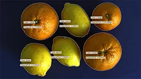 GMM model created to show a simple classification of fruit.
