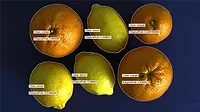 GMM model created to show a simple classification of fruit.