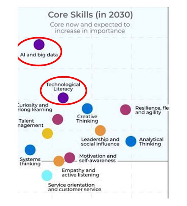 Figure 2: Core Skills (in 2030)