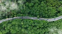 Aerial view of cars on a windy road driving through a lush and misty forest.