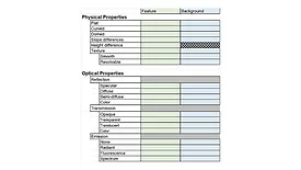 Scene Analysis Form