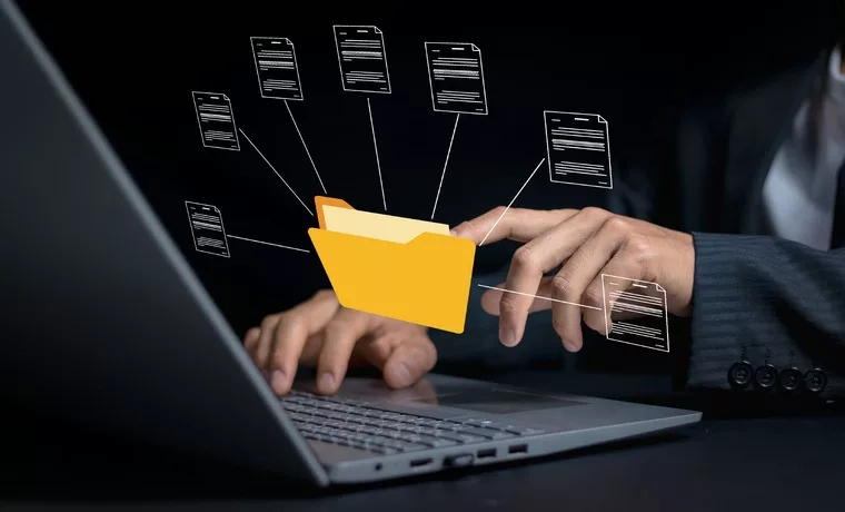 The image represents a Document Management System (DMS), which is software designed to store, organize, track, and manage digital documents. 