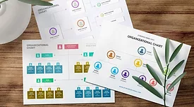 organizational charts