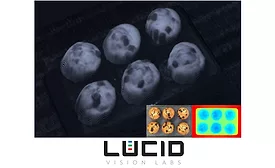 Lucid White Paper