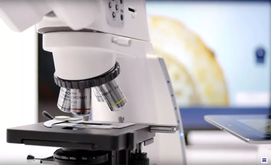 girl looking into a microscope